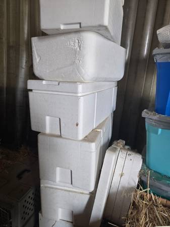 Styrofoam  containers 1