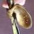 English Edwardian Court Sword. Edward VII. Circa 1901-1910 10 thumbnail