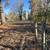 Beautiful 10 Acre Property - Fenced with Trees 1 thumbnail