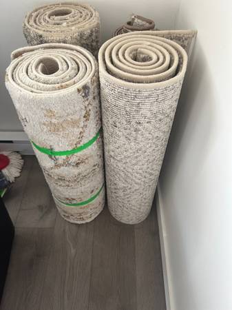 Area Rugs for sale 1