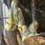Cocktail birds, very nice and elegant 7 thumbnail