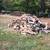FIREWOOD 2 thumbnail