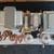 MARBLE TRAVELLER ALL TUBE GUITAR AMPLIFIER HEAD 14 thumbnail