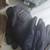 Authentic Military Gloves, Uniforms, Jackets, Cold Weather 6 thumbnail