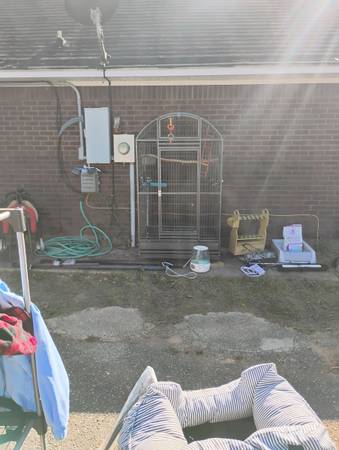 Extra large bird cage 1