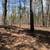 11 Acres Of Land 6 thumbnail
