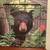 Bear picture 2 thumbnail
