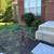 Weeding/mulching/planting flowers 1 thumbnail