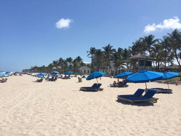 $549 / 1br - 450ft2 - PEACEFUL SPOT STEPS FROM THE BEACH $549 WEEKLY (Deerfield Beach)64001846184321120