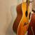 Breedlove Breedlove American Series C20/SR 3 thumbnail