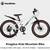 Royal Baby KingPlus 20-inch 7-speed - NEW! 6 thumbnail