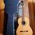 Epiphone C40 nylon classical w/hsc 1 thumbnail