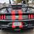 2020 Ford Mustang EcoBoost I4 Coupe 16 thumbnail
