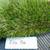 ARTIFICIAL TURF – NO INFILL – BULK DISCOUNTS! 4 thumbnail
