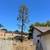 tree service & landscaping Llc 2 thumbnail