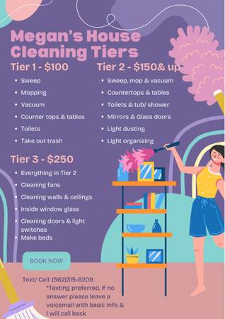 House cleaning service 1