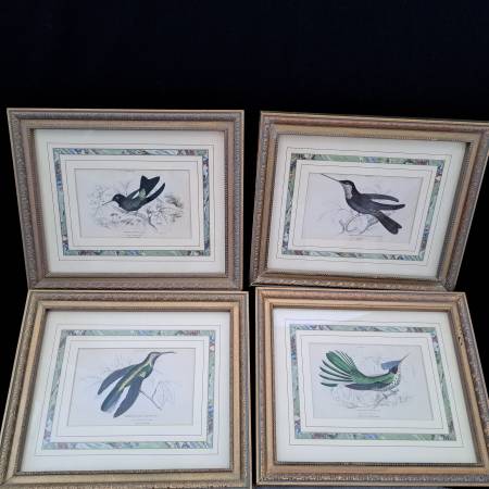 Four Framed Bird Prints by Lizar 1