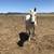 horses for sale 4 thumbnail