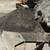 • SCREENED TOPSOIL - COMPOST - BLACKTOP GRINDINGS • 5 thumbnail
