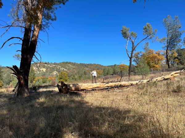 $69,000 Really Get Out Of The Heat 7.69 Acres Will Carry (manton)63972530479874120