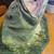 Goliath Grouper Head Mount 3 thumbnail