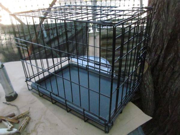 Xtra small folding dog/cat crate63860185137409122