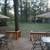 AVAILABLE FALL BREAK! COZY CABIN BY RAINBOW LAKE! WALK TO FISHING! 5 thumbnail