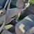 2004 Toyota Camry LE 4dr Sedan 4 thumbnail