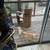 Found 3 Tabby Cats 2 thumbnail