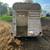Livestock trailer 3 thumbnail