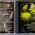 Bone Thugs-N-Harmony ‎– Thug World Order (Explicit CD) 2 thumbnail