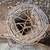 Barbed Wire roll 1 thumbnail