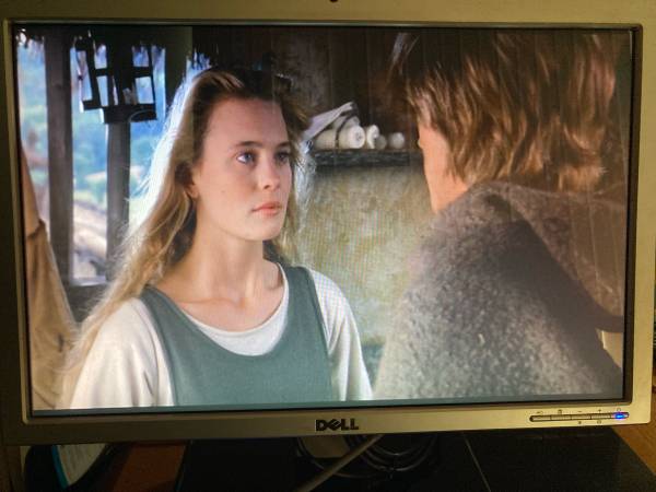 Dell 20” Flat Screen Computer Monitor Display 1