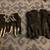 Alpinestars Motorcycle Gloves - Two Pairs - Med. / Lrg. 2 thumbnail