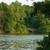Brookline Studio Near Longwood Medical Area | 14 thumbnail