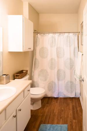 $1,450 / 2br - 1250ft2 - 2/2 UNFURNISHED condo in Seasons of Biltmore Lake (E. Candler/W. Asheville)64029210066947124