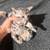 Soft cat bed for your bengal cat or kitten 10 thumbnail