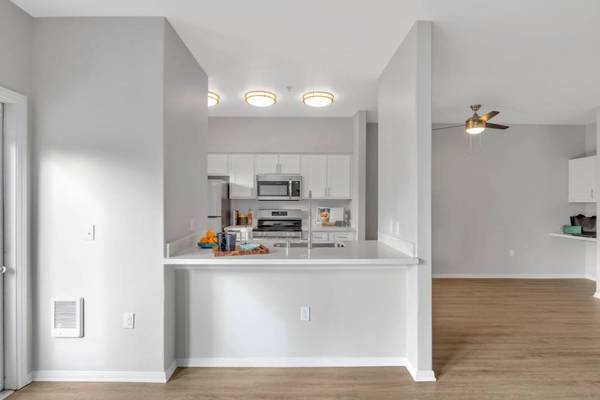 $1,549 / 1br - 903ft2 - ¡Amplio apartamento de 1 dormitorio/1 baño en Tacoma, WA!63850638896771123