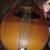 Old washburn potato bug mandolin 2 thumbnail