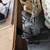 Antique 1915 Singer Sewing Machine in Cabinet with Accessories  & Book 17 thumbnail