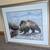 R.C. Kray Silvertip's Pool Grizzly Bear Fine Art 1 thumbnail