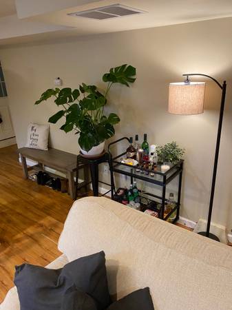 $1,400 / 2br - Adorable 2bed 2bath Overlook apartment (Overlook)63831397014785123