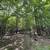 Martha Lake Home with 3 cabins 20 thumbnail