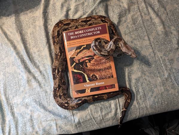 Snakes63671518921475120
