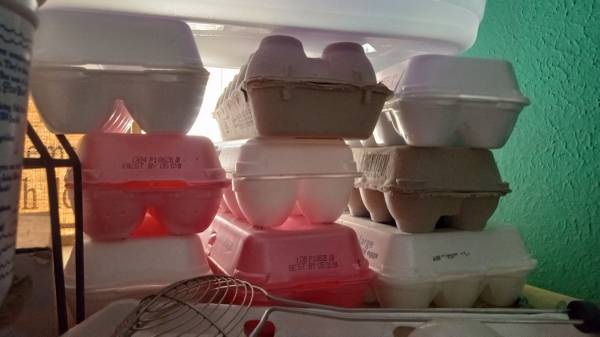 Egg cartons dozen free 1