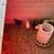 Chicks 2 thumbnail