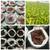 The Coco Depot / GroEzy Coco Coir products on sale! 3 thumbnail