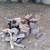 FIREWOOD FOR SALE 1 thumbnail