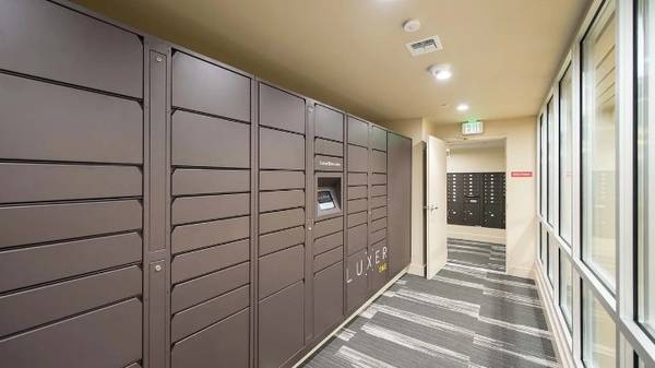 $1,900 / 1br - $2,300/ 2Br Disponible 650-1100 Ft2 Ubicado en San Mateo Acogedor espacioso (san mateo)63873331698307123