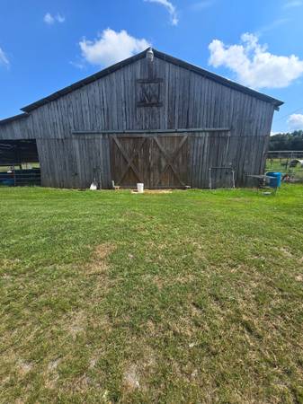 Mini Farm 1